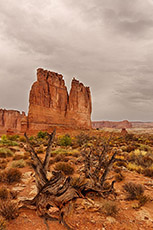 Courthouse Towers, Arches NP