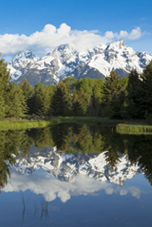 Schwabacher's Landing